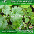 Top Quality Factory Black Cohosh Powder Extract Triterpene Glycosides 2.5% 5%